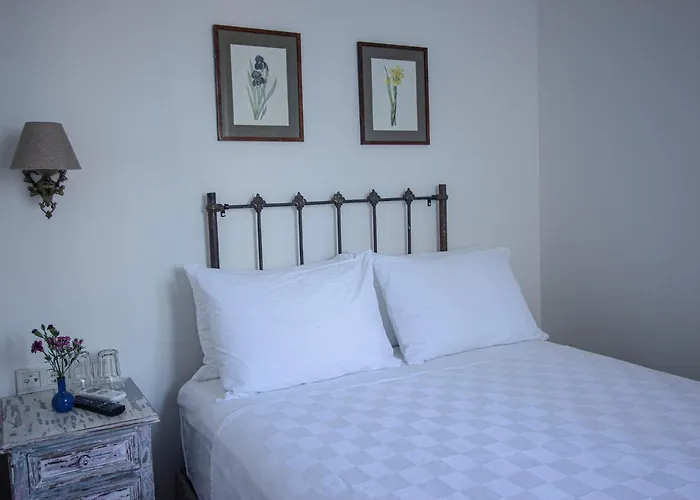 호텔 Opus 1910 Ayvalı